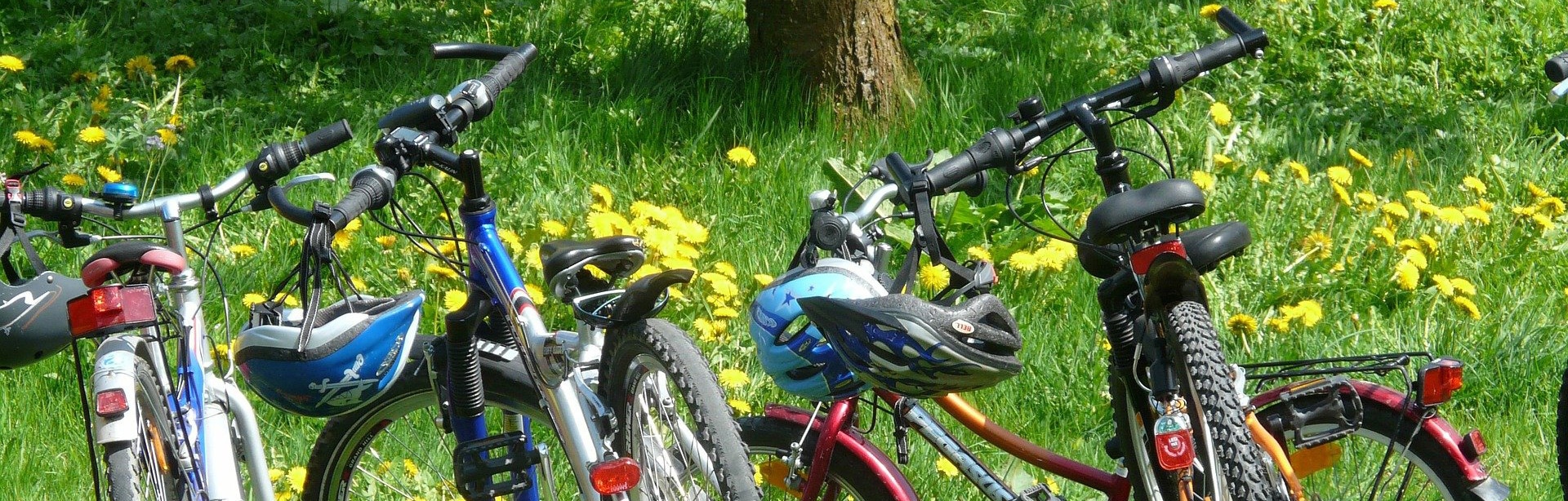 Landgasthof Simon | Relaxen, Wandern, Fahrradfahren